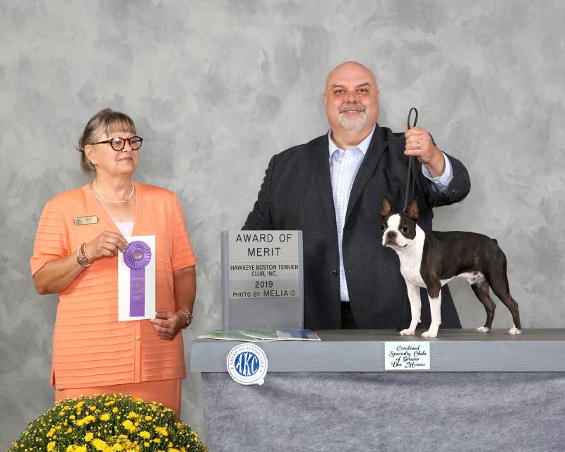 FirstSpecialty-BBE-AOW-WD