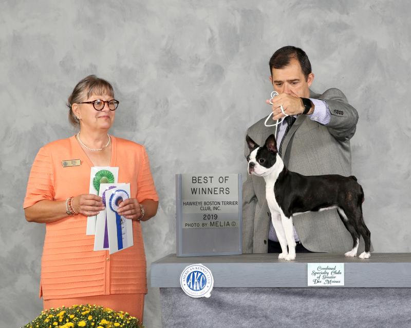FirstSpecialty-BestPuppyBestWinners