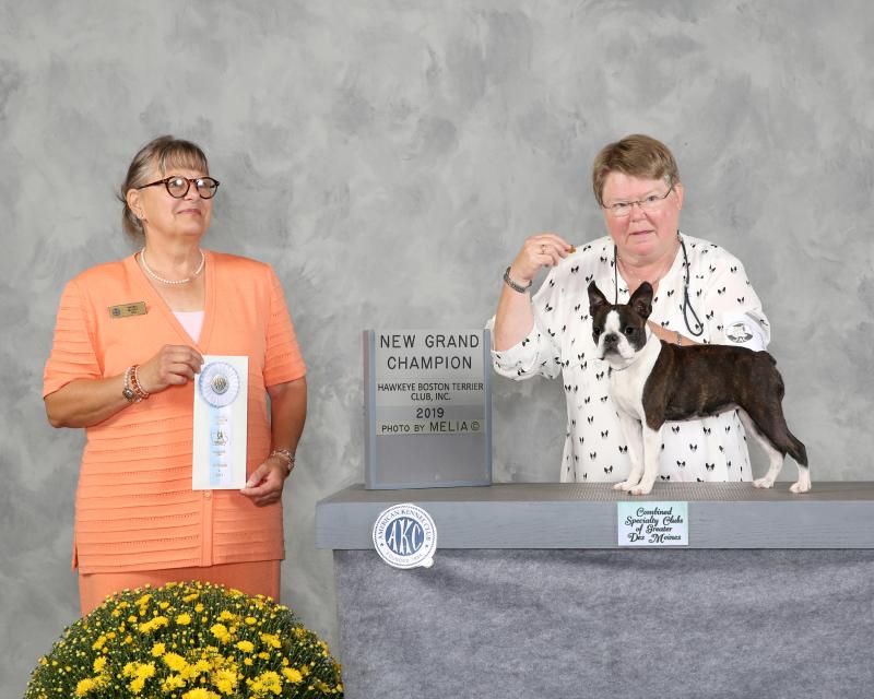 FirstSpecialty-SelectBitch