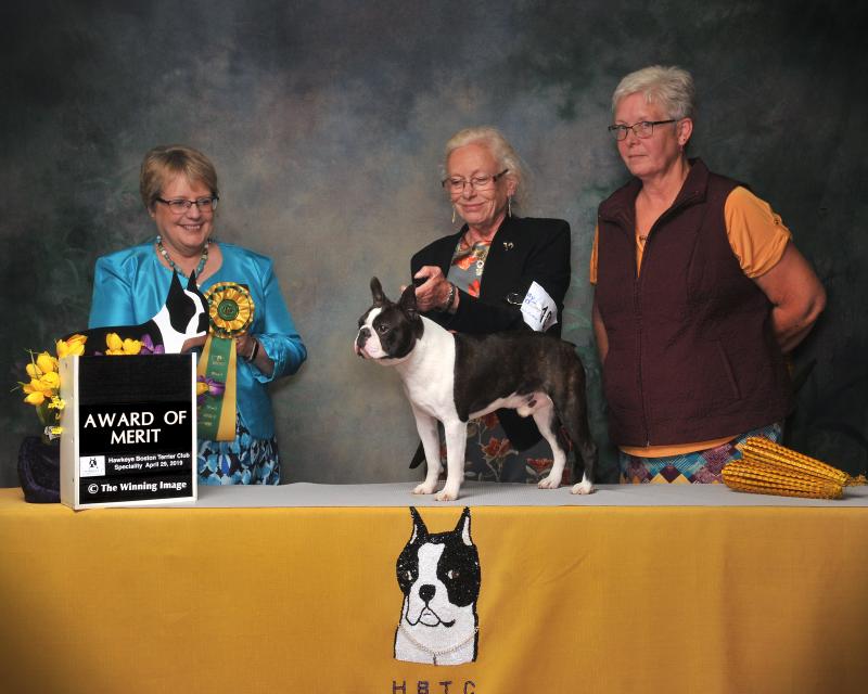 AOW Bumble Bee Monday