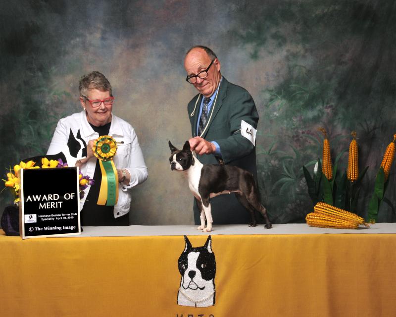 Tuesday Award of Merit 44