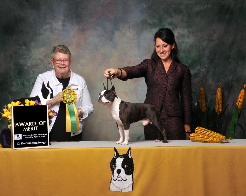 Tuesday Award of Merit 63