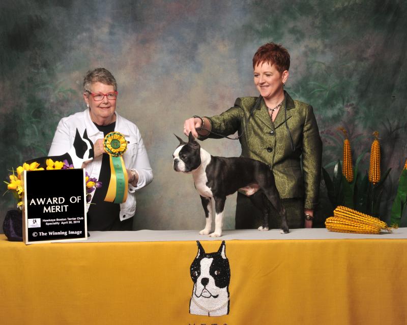 Tuesday Award of Merit 85