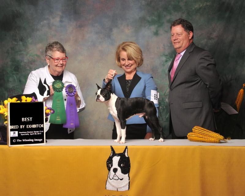 Tuesday Best Bred by Exhibitor