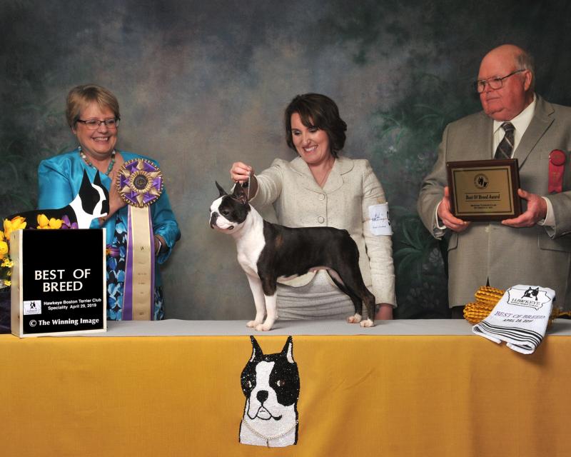 Best of Breed Monday