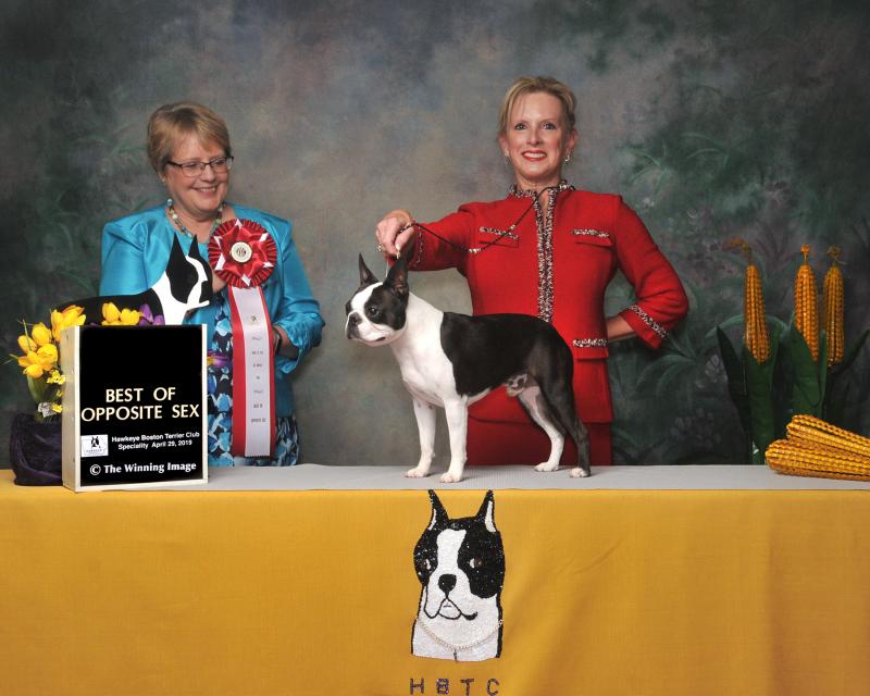 Best of Opposite Sex Monday