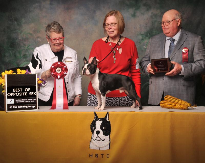 Tuesday Best Opposite Sex