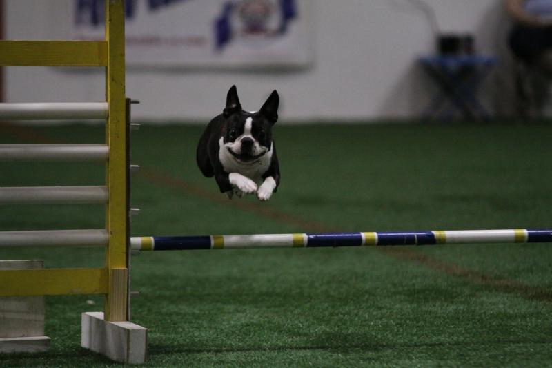 Agility