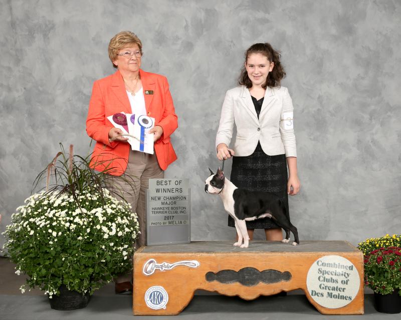 BOW-FirstSpecialty2017