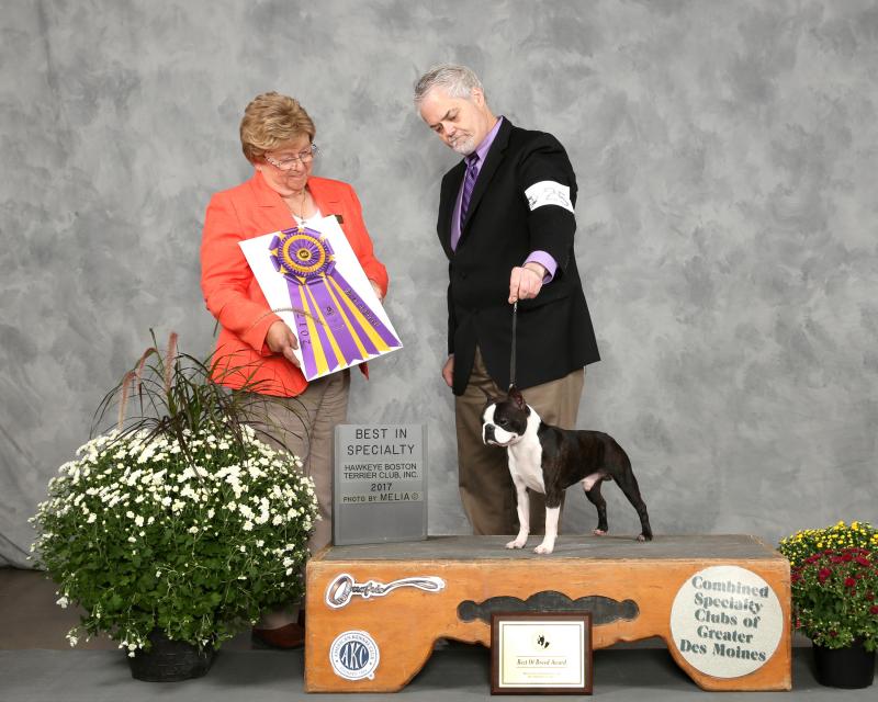 2017BOB-FirstSpecialty