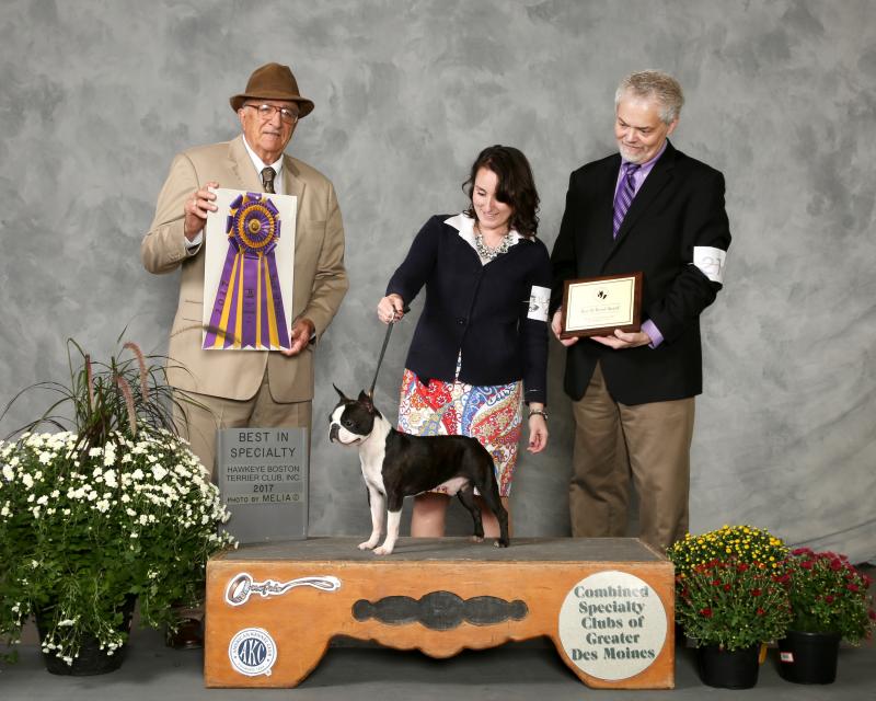 BOB-SecondSpecialty2017