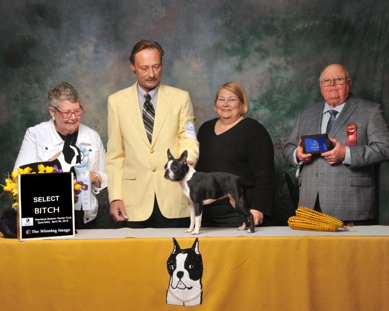 Tuesday Select Bitch